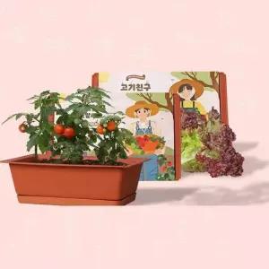 베란다텃밭화분 씨앗3종 흙 SET 텃밭가꾸기 옥상텃밭