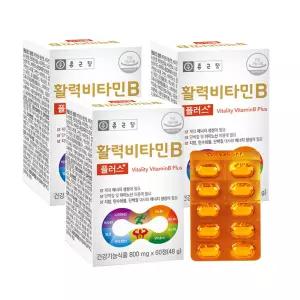 대한민국최저가 종근당 활력 비타민B 플러스 800mg x 60정 3개 득템찬스