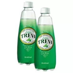 트레비 라임 300ml 20PET 탄산 플레인 자몽
