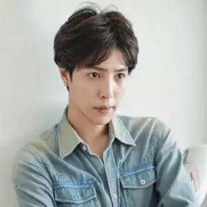 가발 헤어 남성용 자연스러운 스타일 가르마 (HSJ-WFGFBJR)