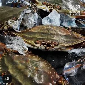 [NS홈쇼핑]국내산 알배기 간장게장 (500g x 4통)[35900010]