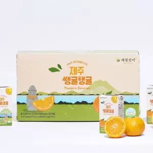 제철진미 쌩귤탱귤 제주 무농약 감귤쥬스 125ml 2박스 48개입
