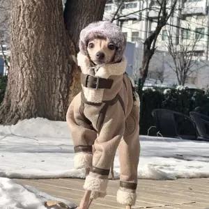 애견용 강아지매너벨트 강아지위생팬티 애견매너벨트 이탈리안 기저귀 수컷 암컷 생리대 대형견