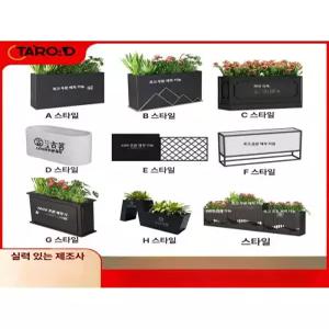 실내 관엽 키우기 쉬운 플랜테리어 반려 몬스테라 화분