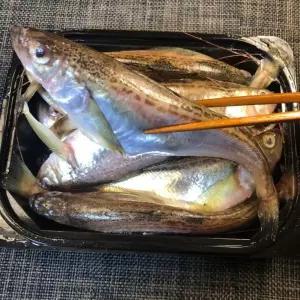 [제니네 제철과일] SG 산지발송 도루묵 제니네 추천