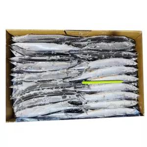 꽁치3번 9.752kg 98마리내외1박스 구이 조림 낚시통발미끼 25년8월생산최상급