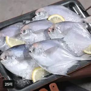 [NS홈쇼핑](방송중혜택) 국내산 병어 250g(3미) * 5팩 + 250g(2미) * 5팩 / 총 25미..[35905985]
