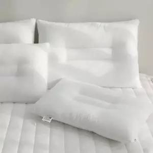 파르페by알레르망 1+1 알러지케어 경추 베개솜 40x60 50x70