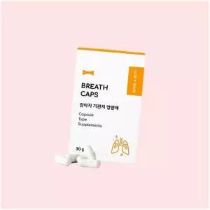 본아페티 브레스캡스 강아지 기관지 영양제 애견 호흡기 4695267