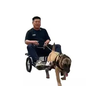 대형견썰매 스포츠 트레일러 운반 훈련 용품 야외용 겨울 하네스 카트 반려견 장비 개 산책