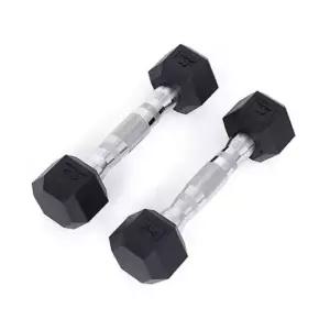 덤벨1kg 홈트 육각 PEV 덤벨 근력 운동 헬스 1kg 2개 세트