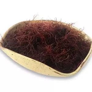 (다올)말린 세모가사리 1Kg - 장흥해초 해초류