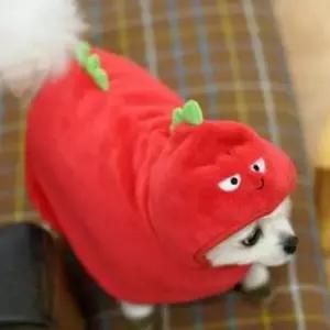 패리스독 웜 가운 캐릭터 공룡 레드 L-XL 담요 방석 쿠션 강아지