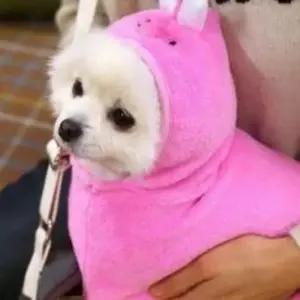 패리스독 캐릭터 가운 웜 핑크 담요 래빗 L-XL 강아지 담요 방석