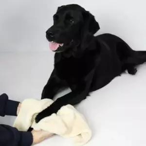 강아지 몬스터 펫타올 베이지 중형 1P 고양이 수건
