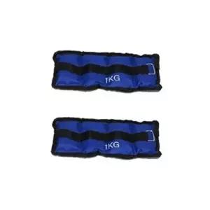 모래주머니2kg/중량밴드 손목용 발목용 헬스용품 (W0E2727)
