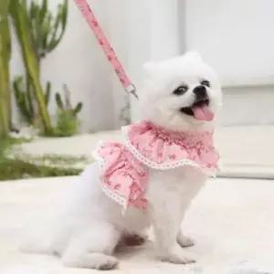 러블리 강아지옷 레이스 고양이 반려동물 하네스 핑크 M
