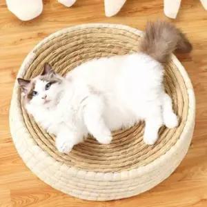 고양이 꾹꾹이 방석 대형 45cm 스크래처 고양이용품