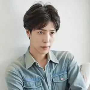 남성용 자연스러운 가르마 헤어 스타일 가발 (HSJ-WFFLF95)