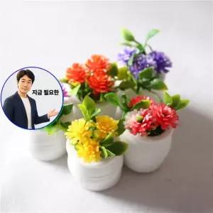 쌍문상회 지금 필요한 보리별 납골당조화 미니화분 5p 1세트 꾸미기