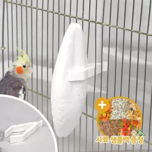 [하프클럽/올펫몰]2GR 오징어뼈 클립 홀더 간식걸이 앵무새간식 새장설치