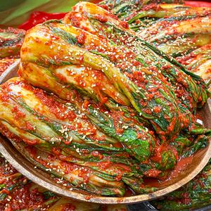 농가살리기 100% 국내산 단배추포기김치 (얼갈이) 8kg