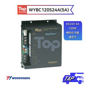 운영 WYBC240S24A(10A) / DC24V 10A 240W 배터리 자동 충전기