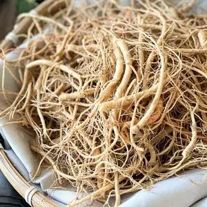 [하라네]금산 미삼 파지 수삼 5~6년근 500g