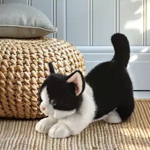 오로라월드 고양이 인형 유아 어린이 친구선물 33cm BNS