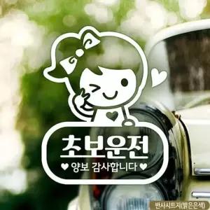 셀리 초보운전 초보자동차스티커-반사 자동차용품