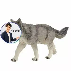 쌍문상회 지금 필요한 파포 동물 모형완구 늑대 피규어
