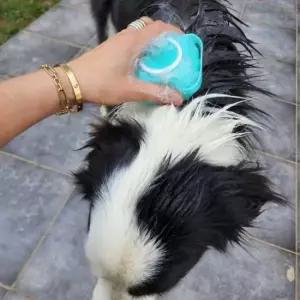 개 고양이 목욕 실리콘 샴푸브러쉬