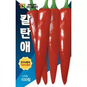 더드림 칼탄애 고추씨앗 고추종자 / 현존하는 내병계 품종의 끝판! 극대과종