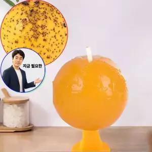 쌍문상회 지금 필요한 과수원 날파리 벌레 끈끈이 트랩 볼형
