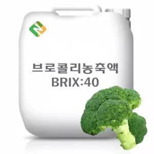 브로콜리농축액 20kg과일 추출 야채 과채 과즙 한방 농축