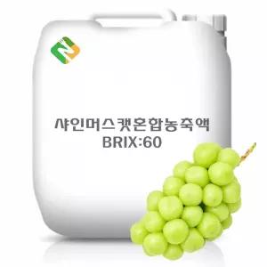 샤인머스캣혼합농축액 20kg과일 추출 야채 과채 과즙 한방 농축