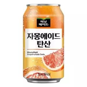 미닛메이드 자몽에이드 탄산 355mlx24캔x2박스