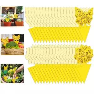 실내용 54팩 초파리 트랩, 그낫 곰팡이 킬러 스티키 식물, 모기, 날벌레용 트랩 54 Pack+20 Tie Wire