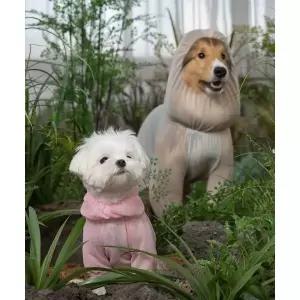 DOGI 강아지 해충방지옷 올인원 버그가드 수트 핑크