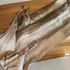 붕장어 통영 자연산 손질 바다장어 특대 1kg