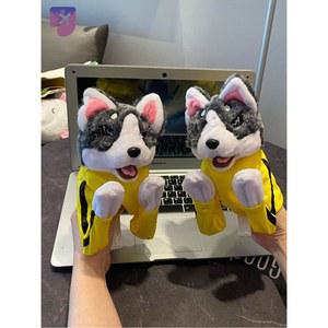 강아지 고양이 움직이는 동물