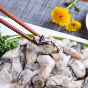 [NS홈쇼핑]국내산 당일조업 산지직송 통영 제철 생굴 1kg[35929931]