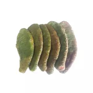 국내산천년초모종 4kg 황금곳간