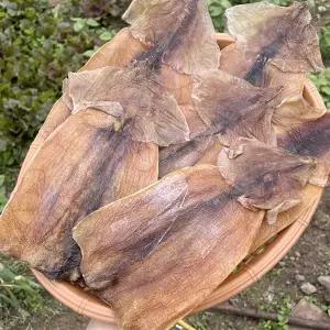몸통만 마른오징어 500g / 파품오징어 몸통
