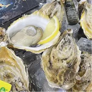 통영 프리미엄굴 스텔라마리스 2kg 1키로당 4-5미내외)