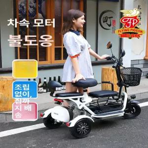 LIFTRI 삼륜전기자전거 등하원 노인 성인용 접이식자전거 어르신 전동스쿠터