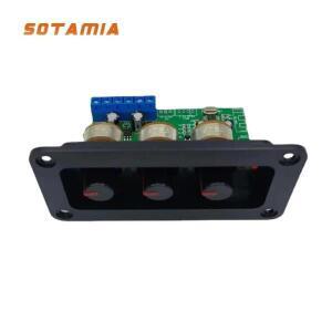 SOTAMIA 블루투스 5.0 앰프 오디오 보드, 홈 시어터 하이파이 스테레오 파워 DIY 사운드 스피커 2x20W