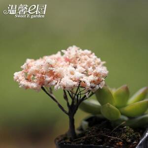 마이크로 풍경 배열  크리스마스 트리 벚꽃 로맨틱 플라워 요정 정원 미니어처