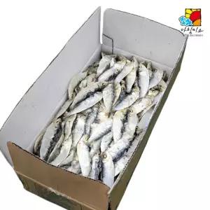 디포리 1.5kg 수입