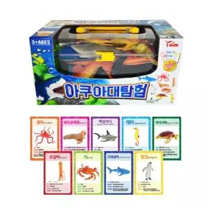 3세 바다생물 배우기 모형 교육카드 set 언어발달 자연 학습 관찰 사회성 정교